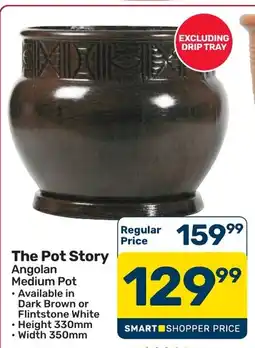 Pick n Pay Hypermarket The Pot Story Angolan Medium Pot offer