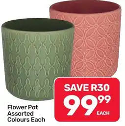 Pick n Pay Hypermarket Flower Pot Assorted offer