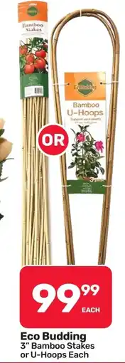 Pick n Pay Hypermarket Eco Budding 3" Bamboo Stakes or U-Hoops offer