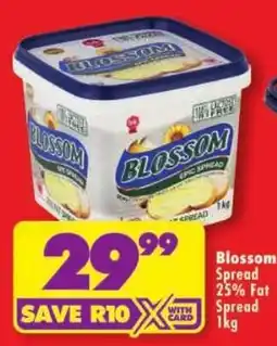 Shoprite Blossom Spread 25% Fat Spread offer