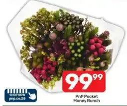 Pick n Pay PnP Pocket Money Bunch offer
