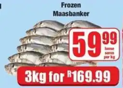 Boxer Frozen Maasbanker offer
