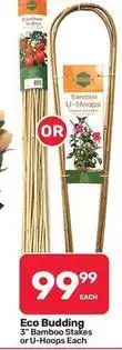 Pick n Pay Hypermarket 3 bamboo stakes or u-hoops each offer