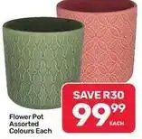 Pick n Pay Hypermarket Flower pot offer
