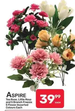 Pick n Pay Hypermarket ASPIRE Tea Rose, Little Rose and 5 Branch Freesia offer