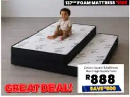Furniture Liquidation Warehouse Orion Foam Mattress offer