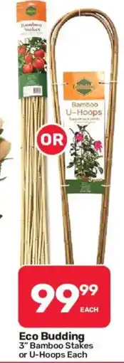 Pick n Pay Eco Budding 3" Bamboo Stakes or U-Hoops offer