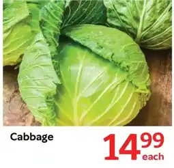 Oxford Freshmarket Cabbage offer