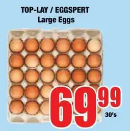Boxer TOP-LAY / EGGSpert Large Eggs offer