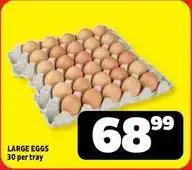 Large eggs