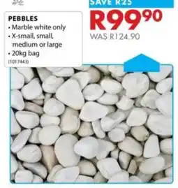 Chamberlain PEBBLES offer