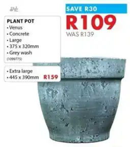 Chamberlain Venus Concrete Plant Pot offer