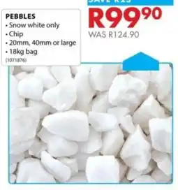 Chamberlain PEBBLES offer