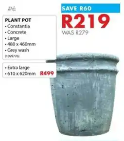 Chamberlain Constantia Concrete Plant Pot offer