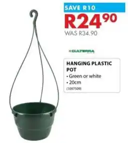 Chamberlain Culterra Hanging Plastic Pot offer