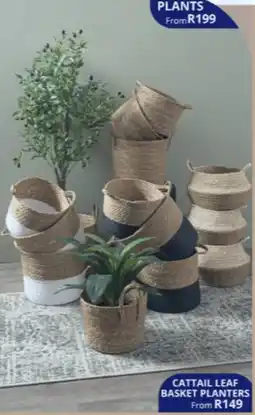 Decofurn Cattail Leaf Basket Planters offer