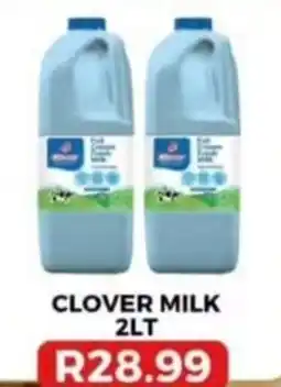 Saverite Clover Milk offer