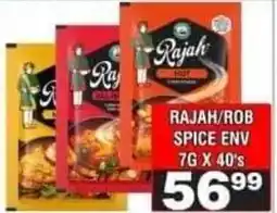 Advance Cash n Carry Rajah Spice Env offer
