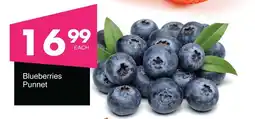 Save Hyper Blueberries Punnet offer