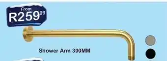 Shower Arm