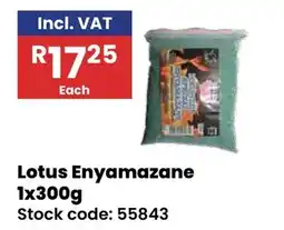 Africa Cash and Carry Lotus Enyamazane offer