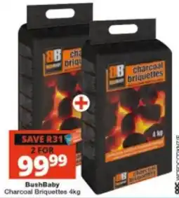 Checkers BushBaby Charcoal Briquettes offer