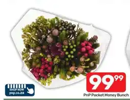 Pick n Pay PnP Pocket Money Bunch offer