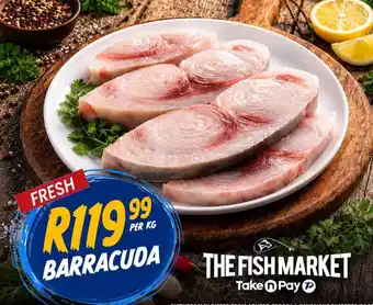 Barracuda
