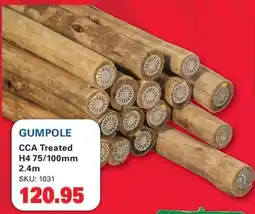 Cashbuild GUMPOLE CCA Treated offer