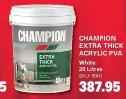 Cashbuild CHAMPION EXTRA THICK ACRYLIC PVA offer