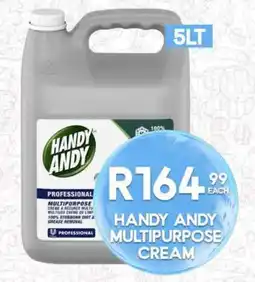 Take 'n Pay HANDY ANDY MULTIPURPOSE CREAM offer