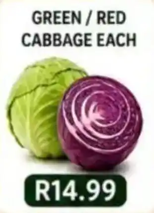 GREEN / RED CABBAGE EACH