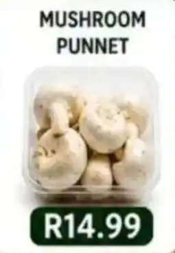 Saverite Mushroom Punnet offer