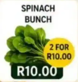 Saverite SPINACH BUNCH offer