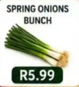 Saverite Spring Onions Bunch offer