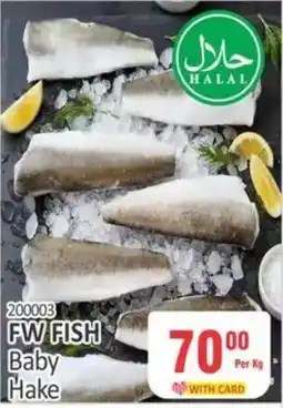 KitKat Cash and Carry FW FISH Baby Hake offer