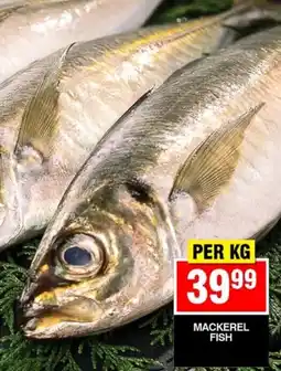 Choppies MACKEREL FISH offer