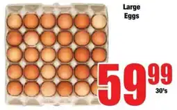 Boxer Large Eggs offer