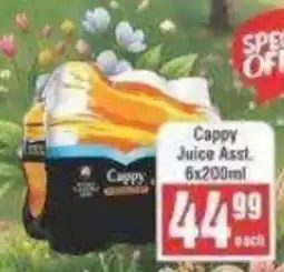 Frontline Cappy Juice Assorted offer