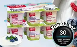 Super Save Spring Meadow Dairy Yoghurt offer