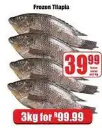 Boxer Frozen - tilapia offer