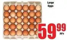 Boxer Large eggs offer