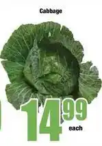 Boxer Cabbage offer