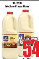 Boxer Clover - medium cream maas offer