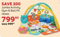 BabiesRUs Jumbo Activity Gym & Ball Pit offer