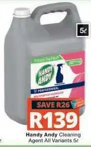 Checkers Handy Andy Cleaning Agent offer