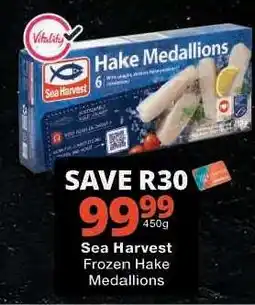 Checkers Sea Harvest Frozen Hake Medallions offer