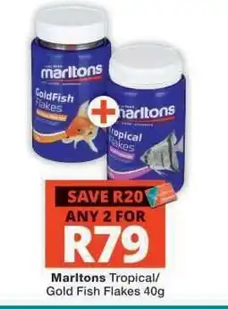 Checkers Marltons Tropical/Gold Fish Flakes 40g offer