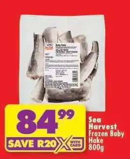 Shoprite SEA HARVEST FROZEN BABY HAKE offer