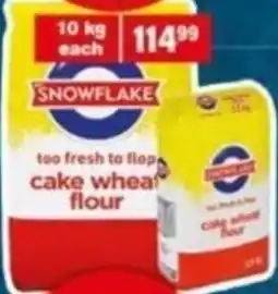 Giant Hyper Snowflake cake wheat flour offer